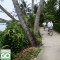 CYCLE FROM HUE TO HOI AN (2 DAYS/1 NIGHT) from 109 USD/person
